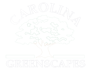 Carolina Greenscapes logo-white-300